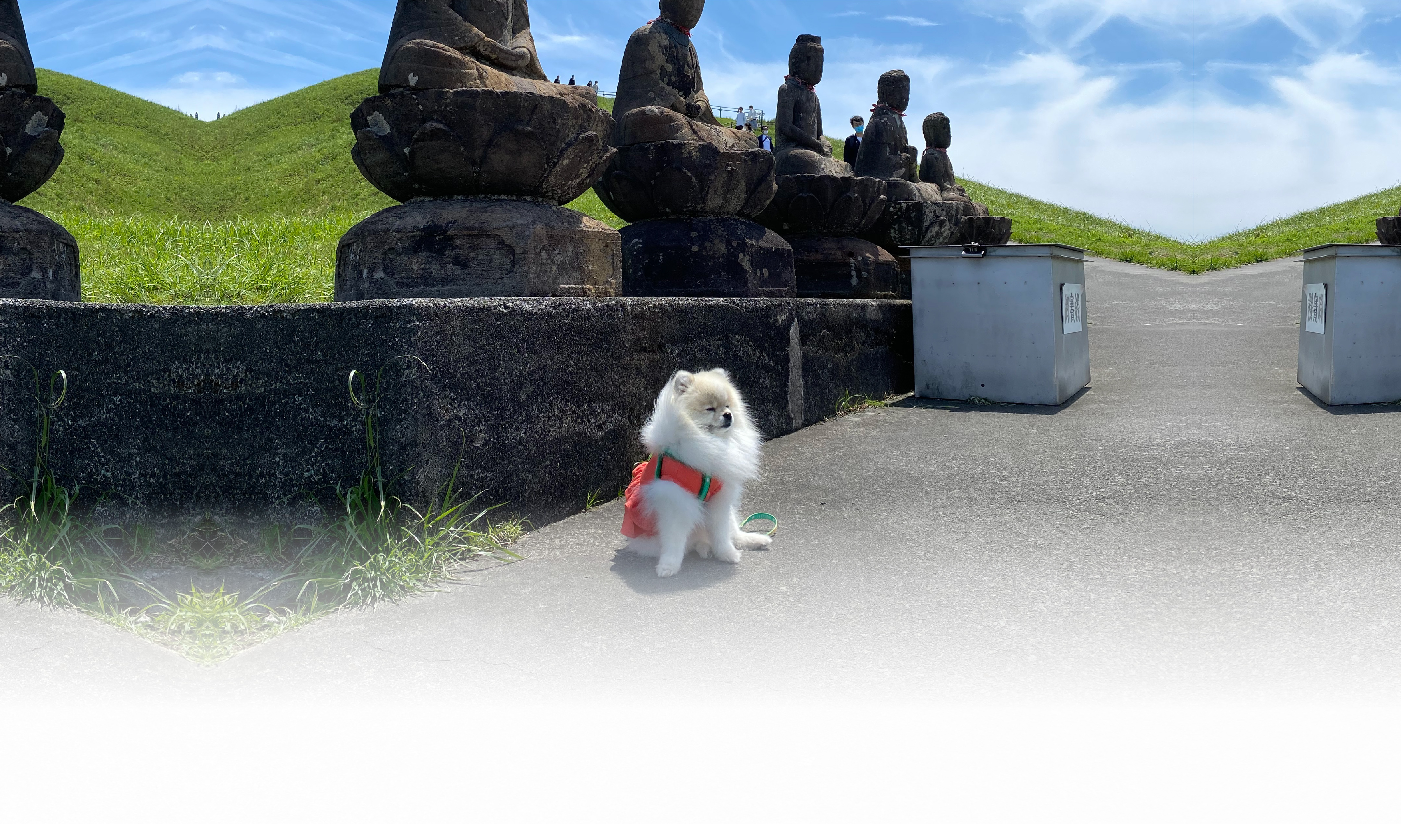 春の愛犬との旅行 画像 3