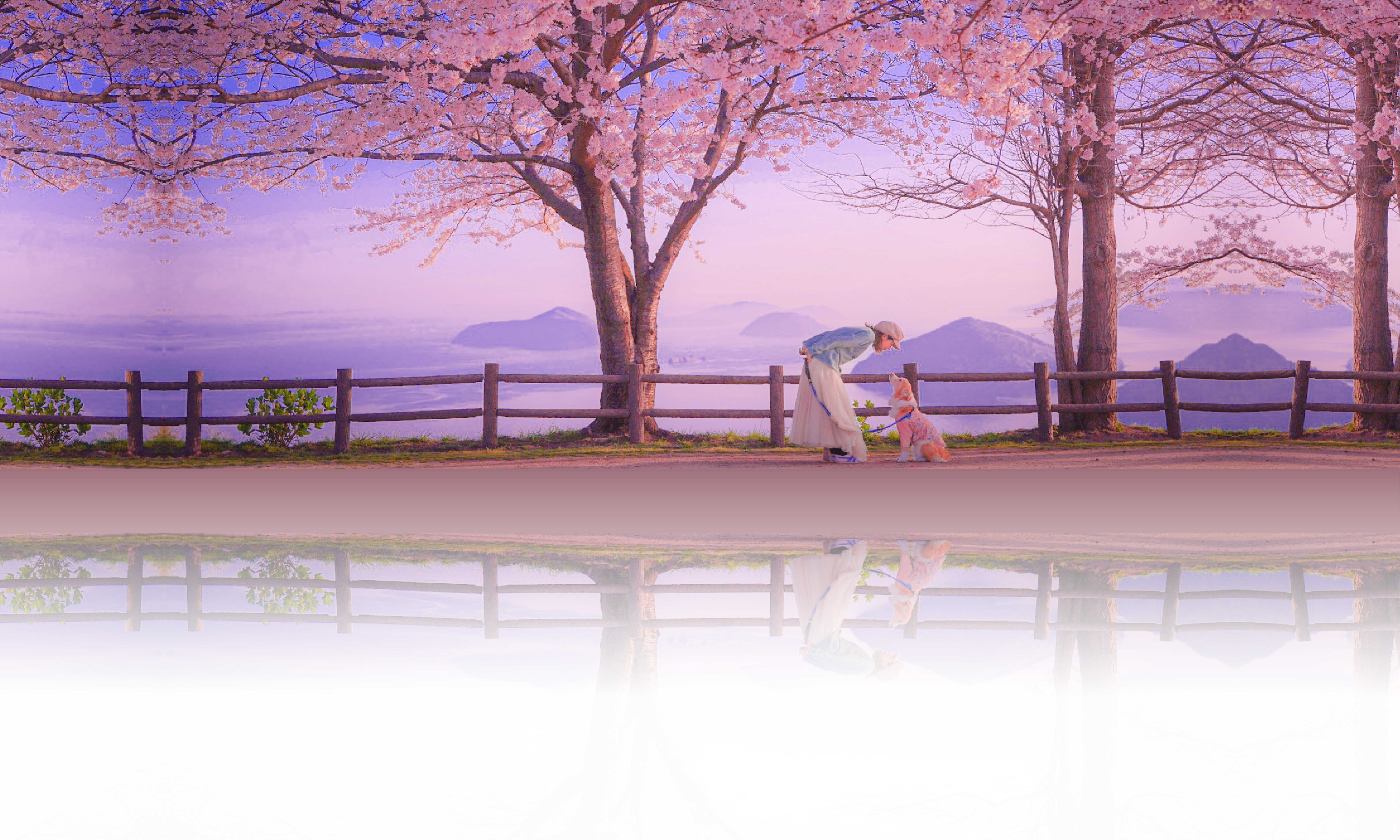 春の愛犬との旅行 画像 3