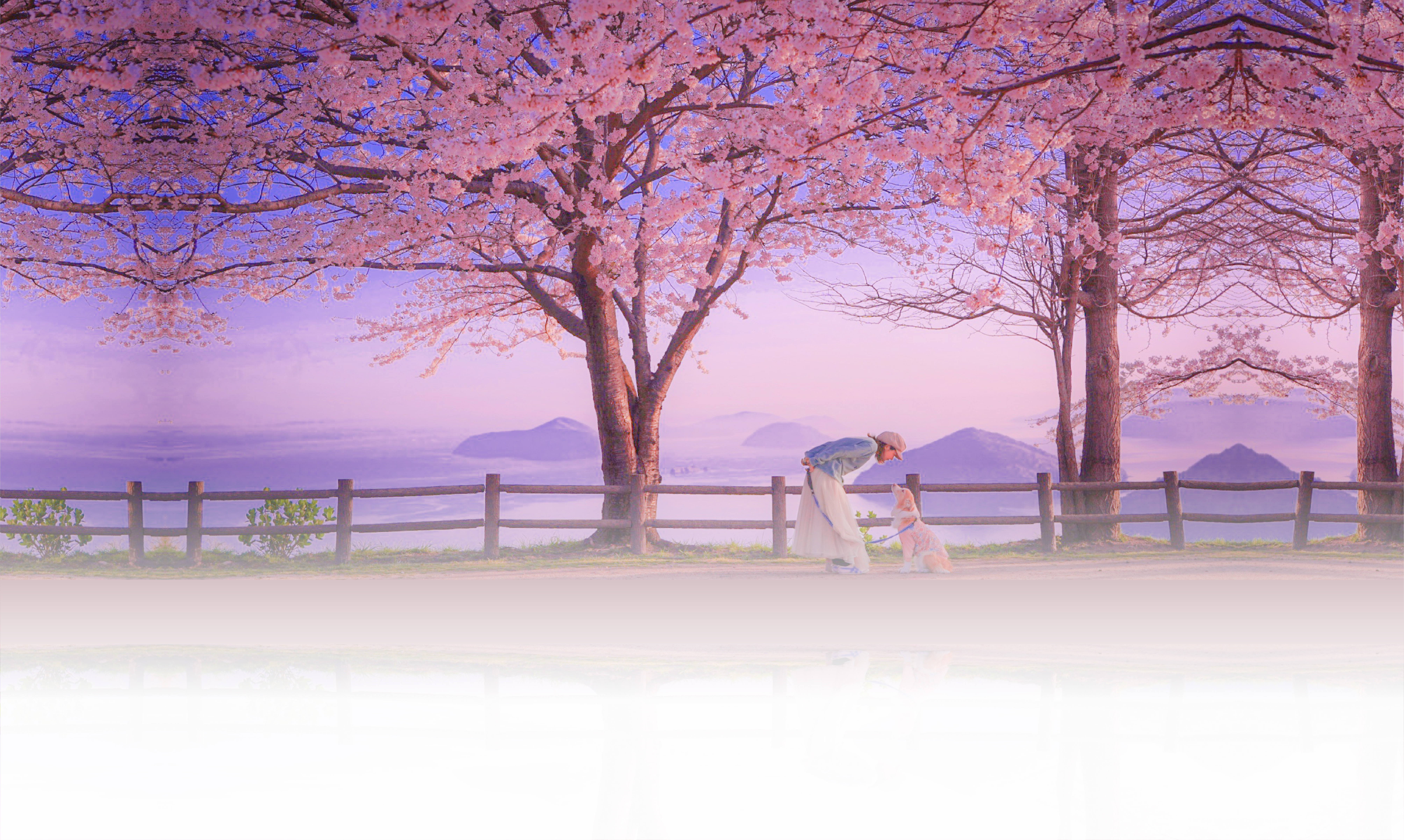 春の愛犬との旅行 画像 3