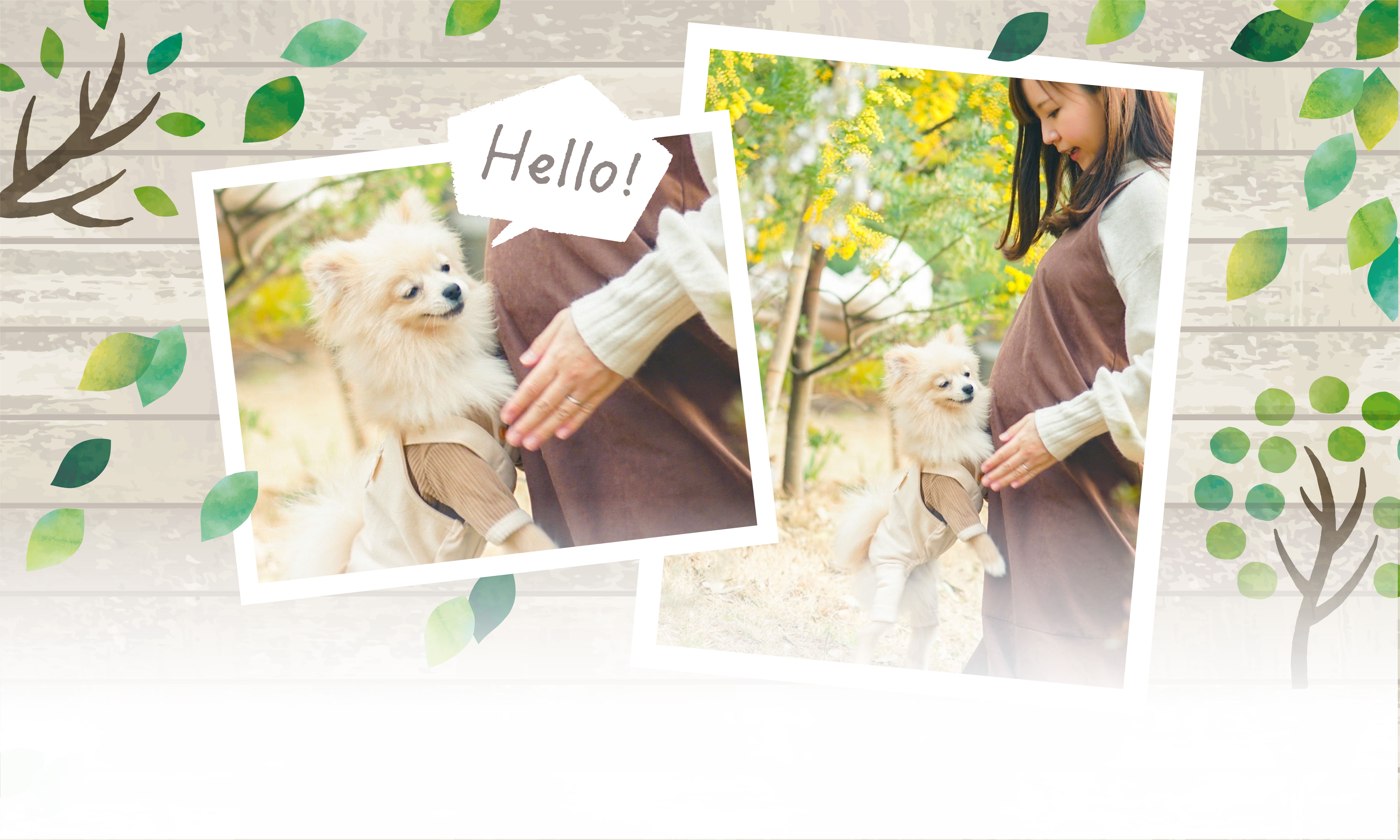 春の愛犬との旅行 画像 3