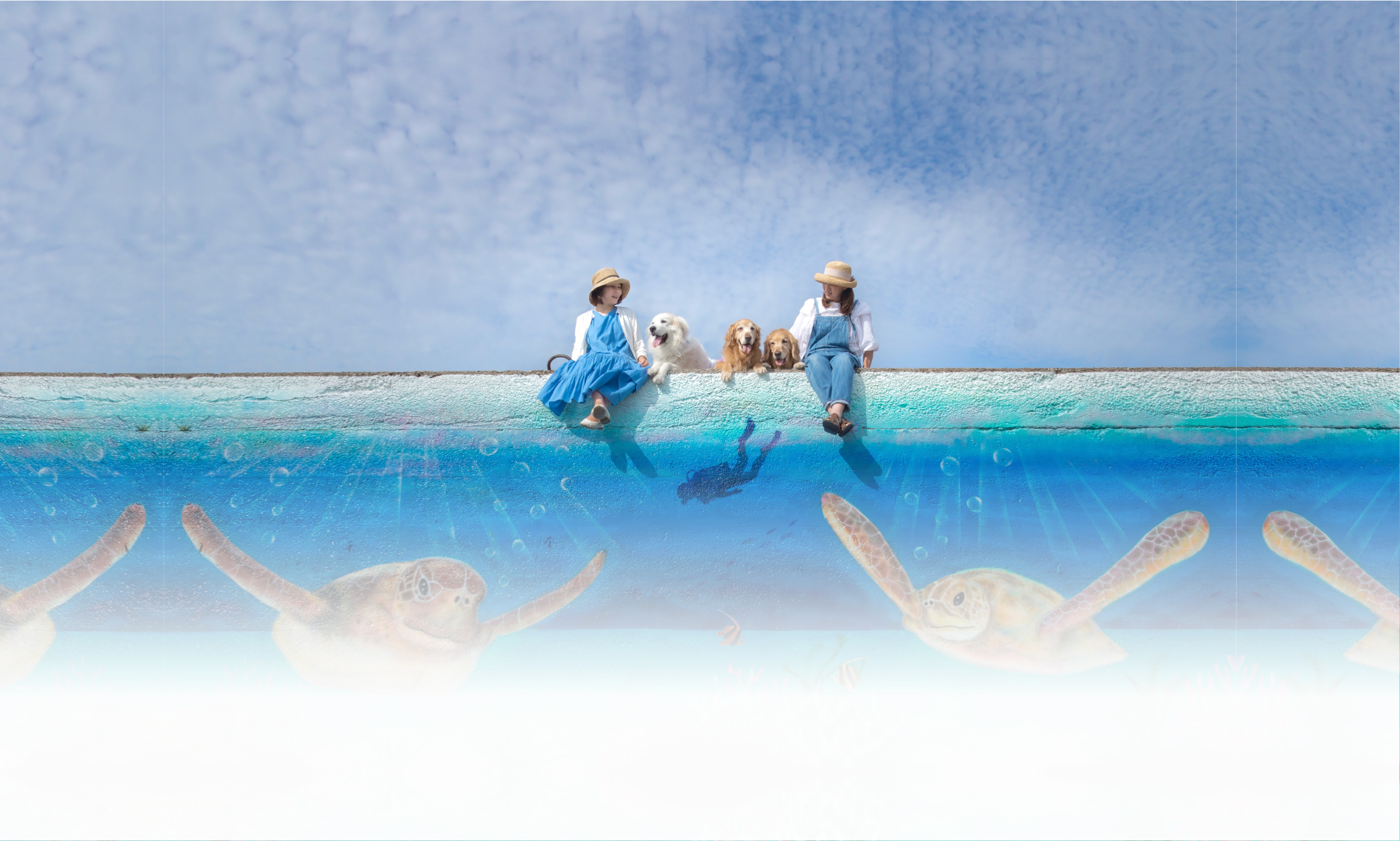 夏の愛犬との旅行 画像 3