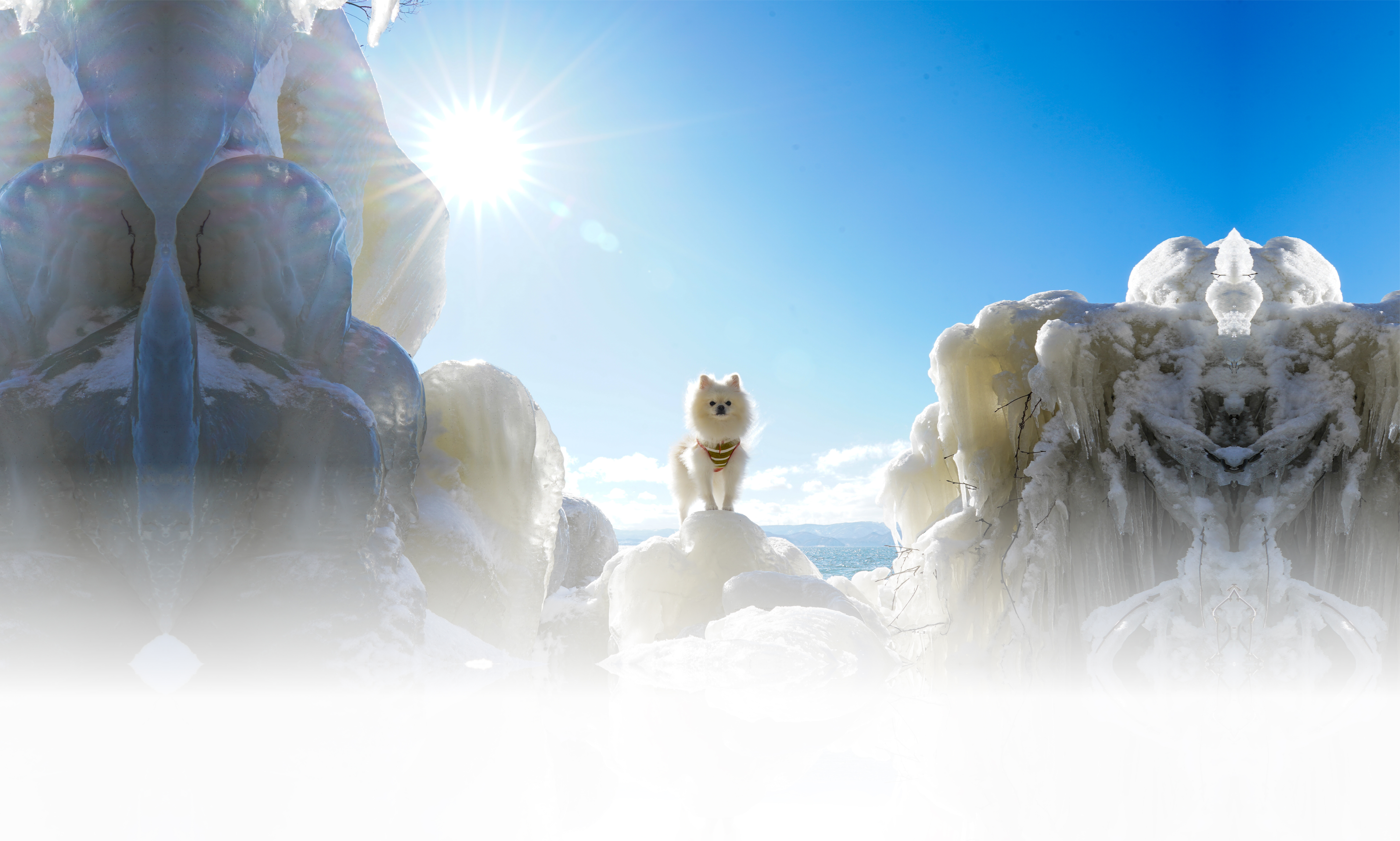 <strong><strong>冬の愛犬との旅行</strong></strong> 画像 3
