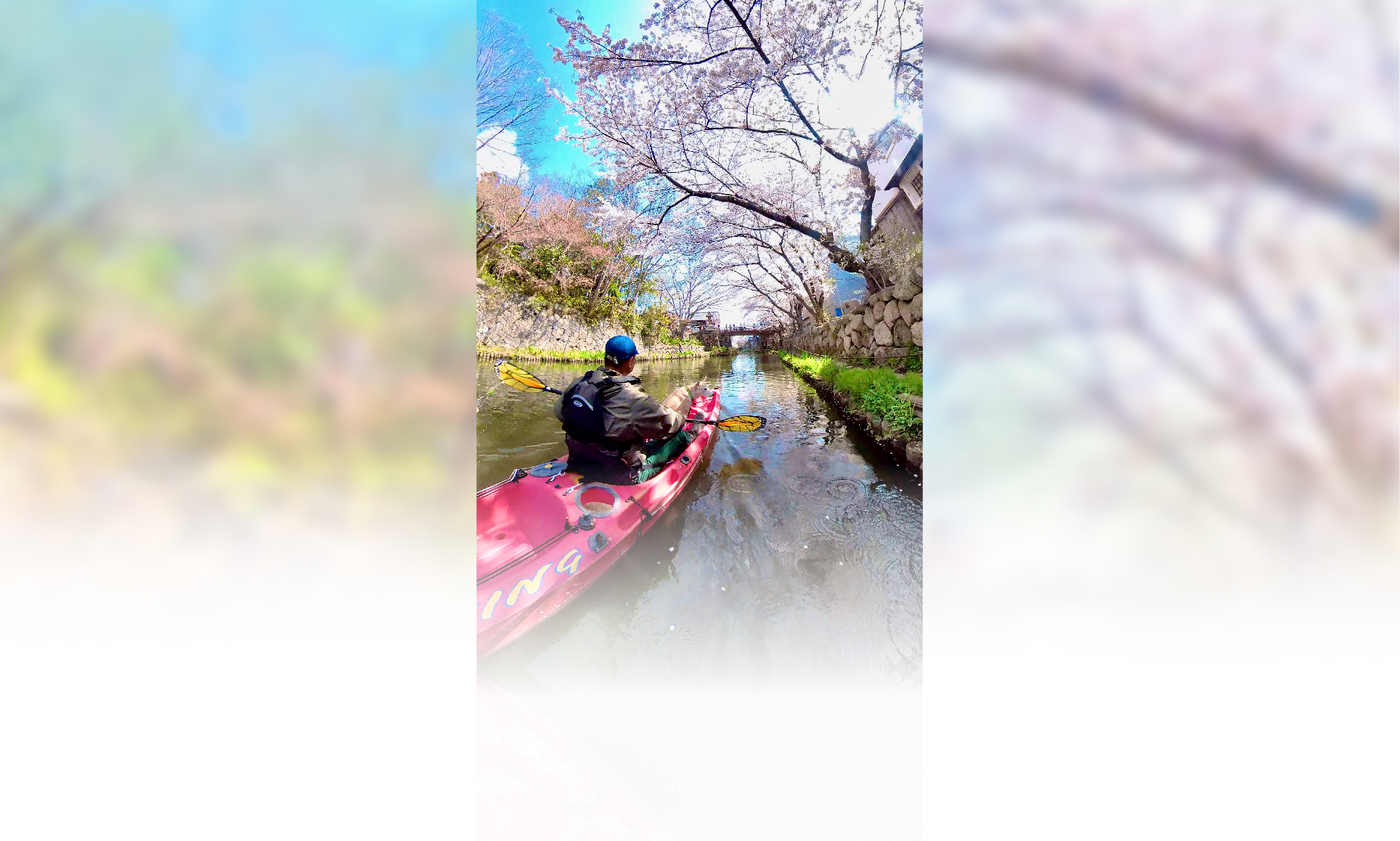 春の愛犬との旅行 画像 1