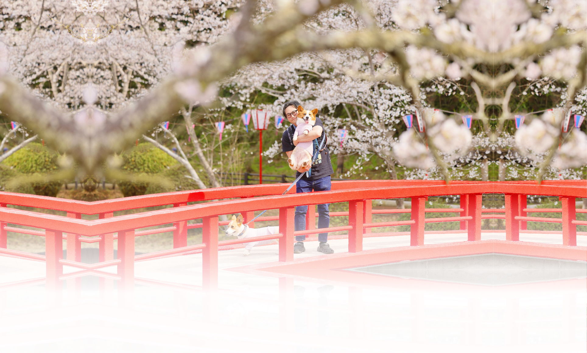 春の愛犬との旅行 画像 3