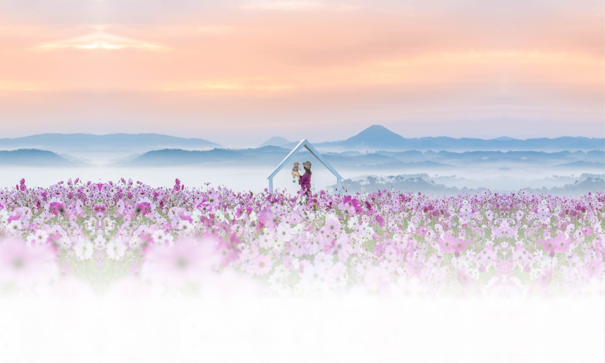 春の愛犬との旅行 画像 1