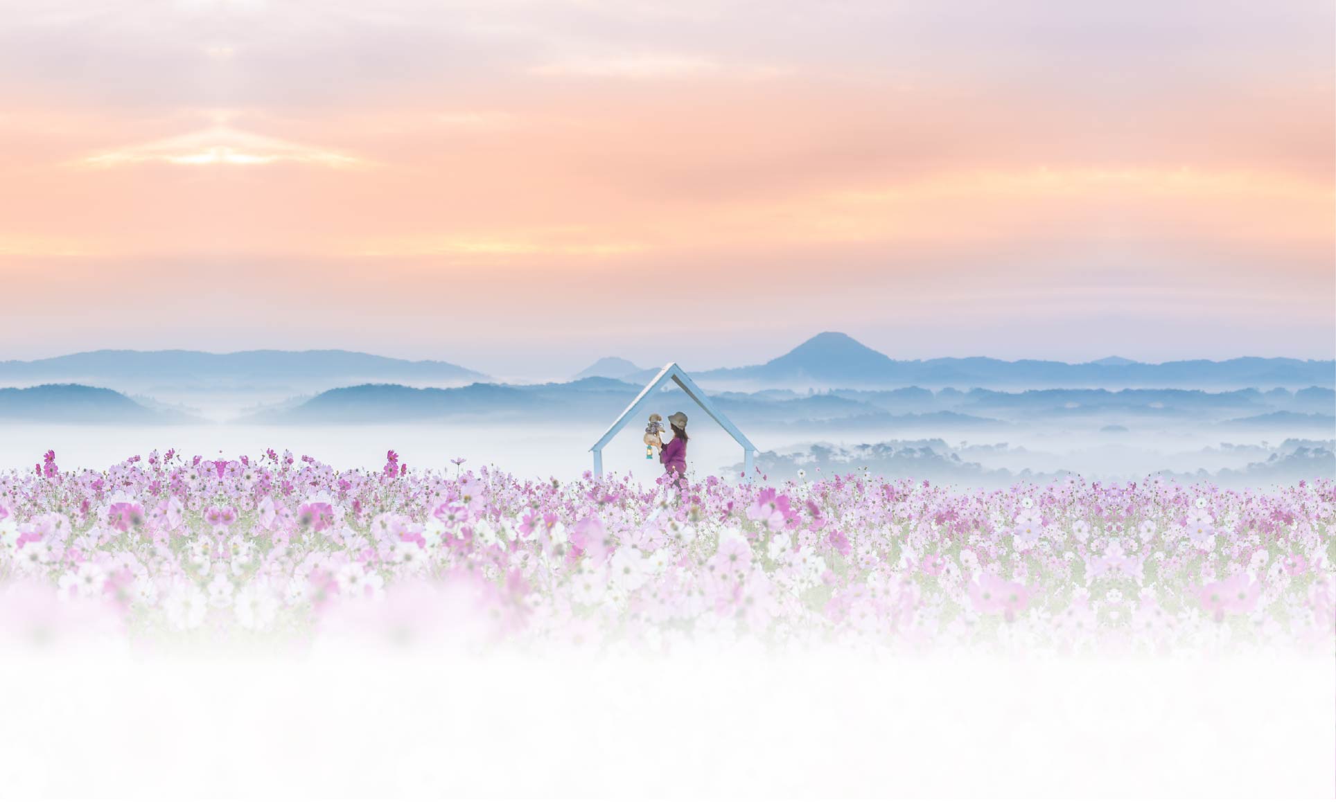 春の愛犬との旅行 画像 1