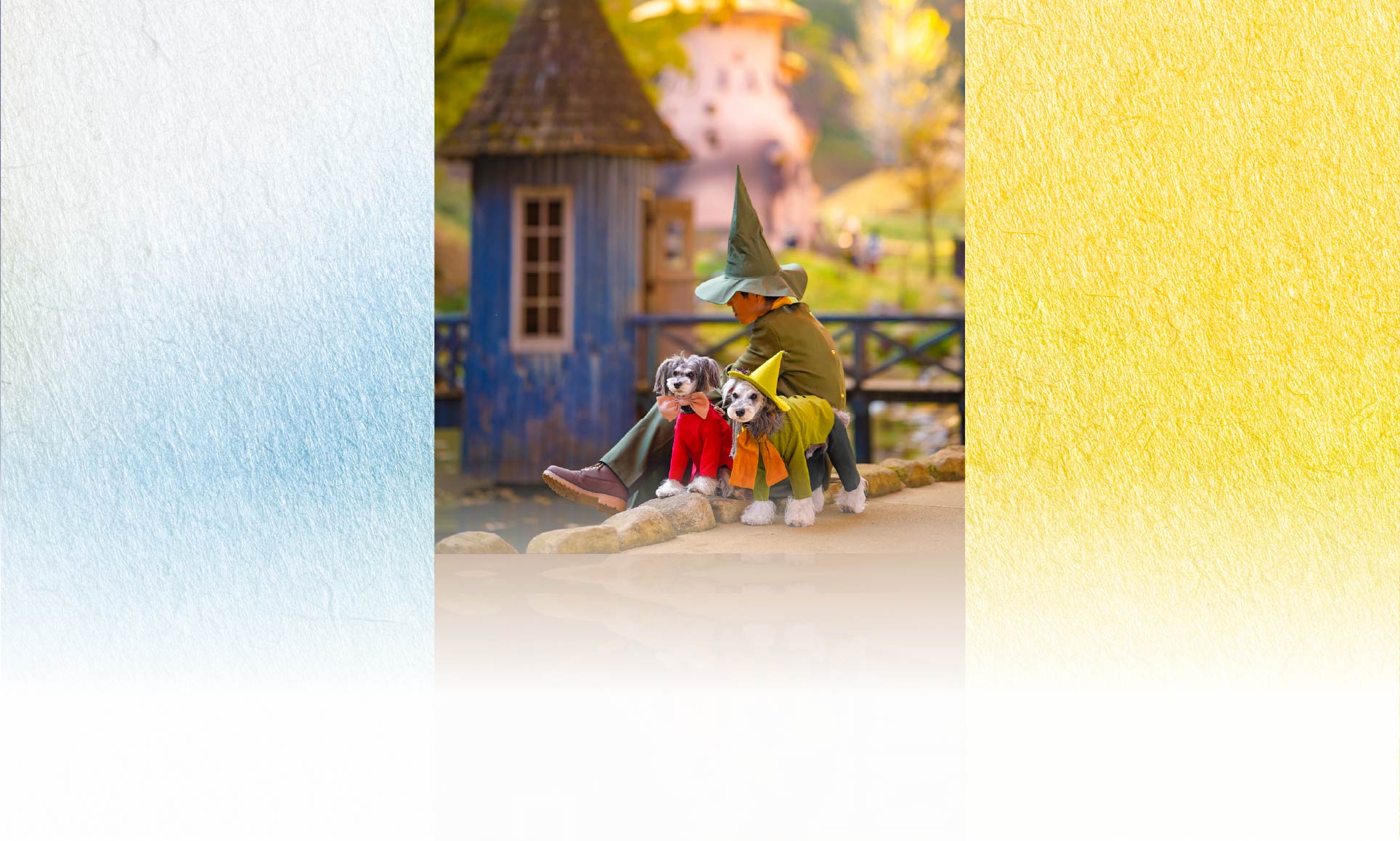 春の愛犬との旅行 画像 6