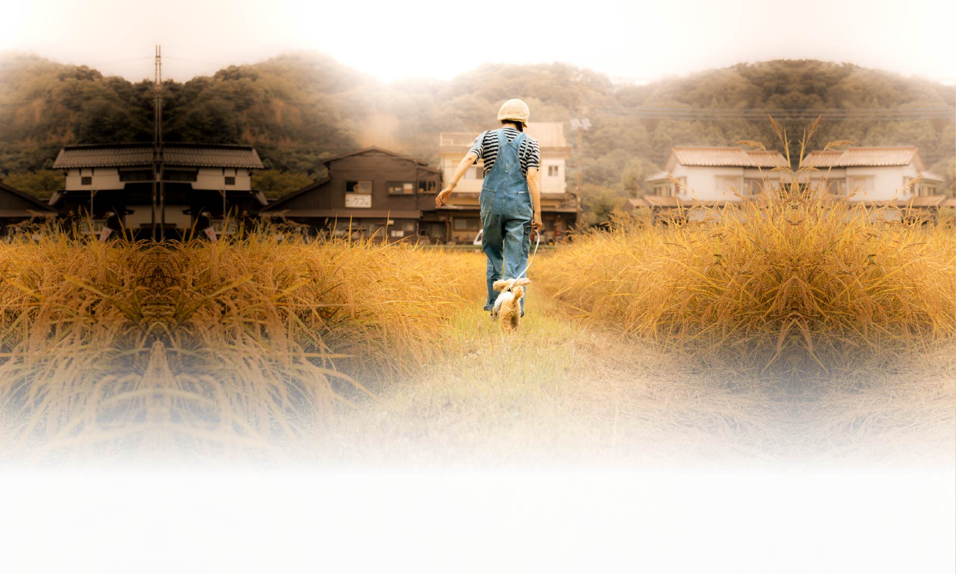 春の愛犬との旅行 画像 7