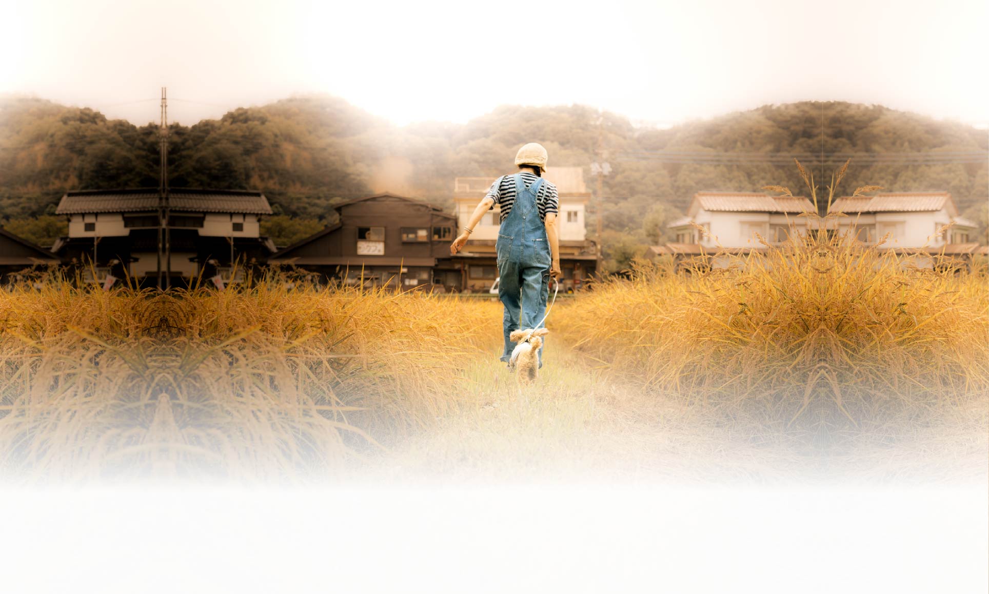 春の愛犬との旅行 画像 7