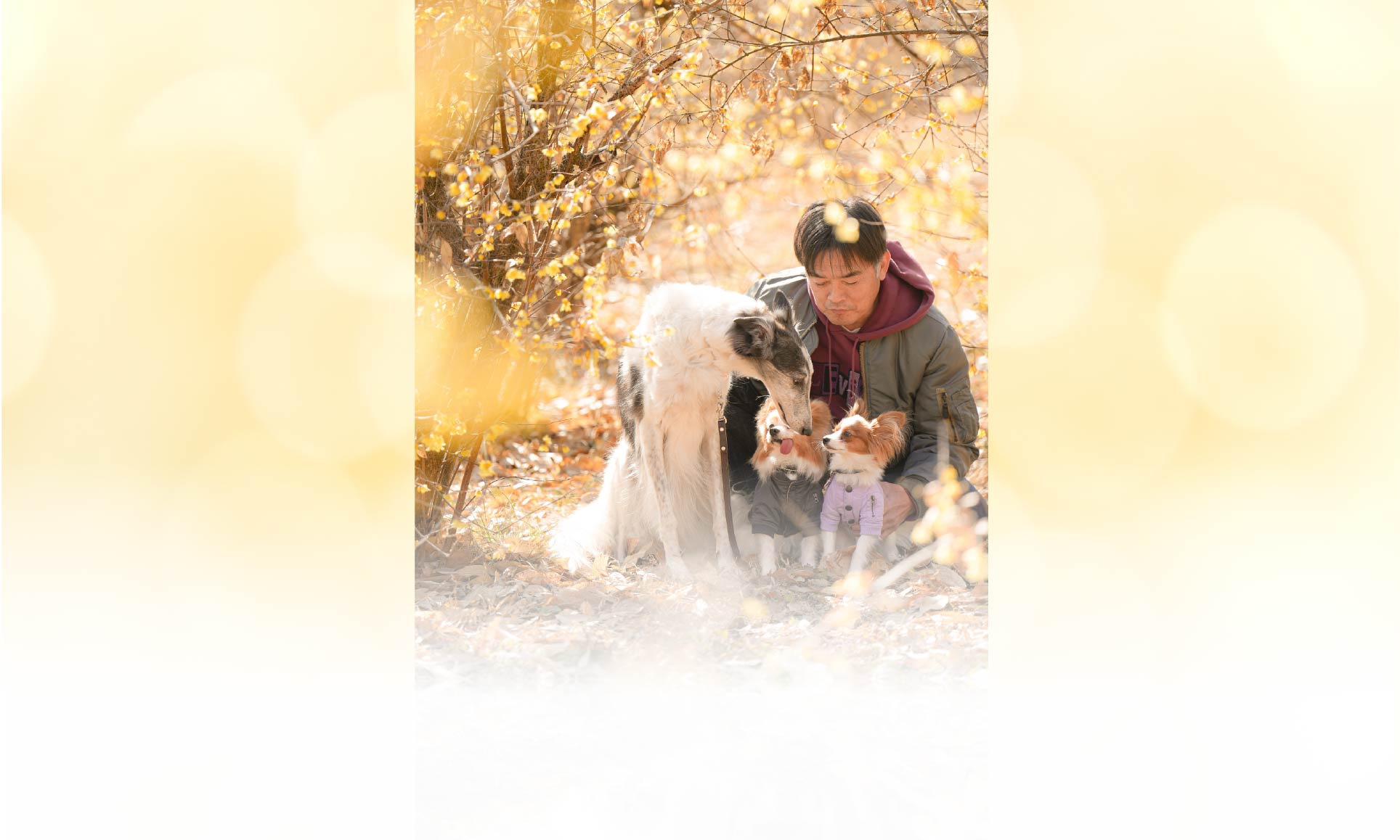 春の愛犬との旅行 画像 7