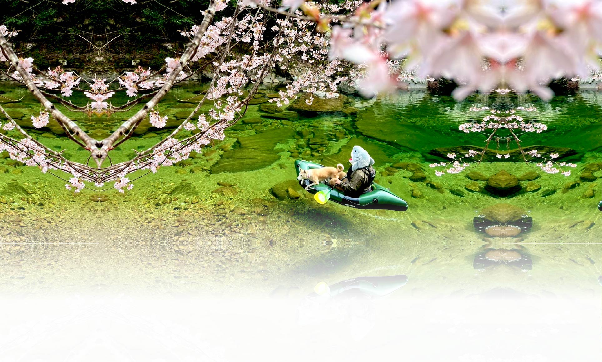 春の愛犬との旅行 画像 3