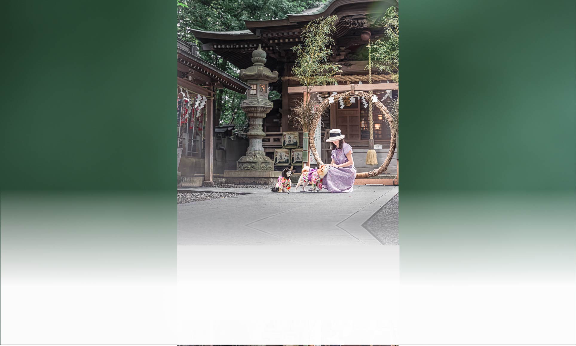 夏の愛犬との旅行 画像 7