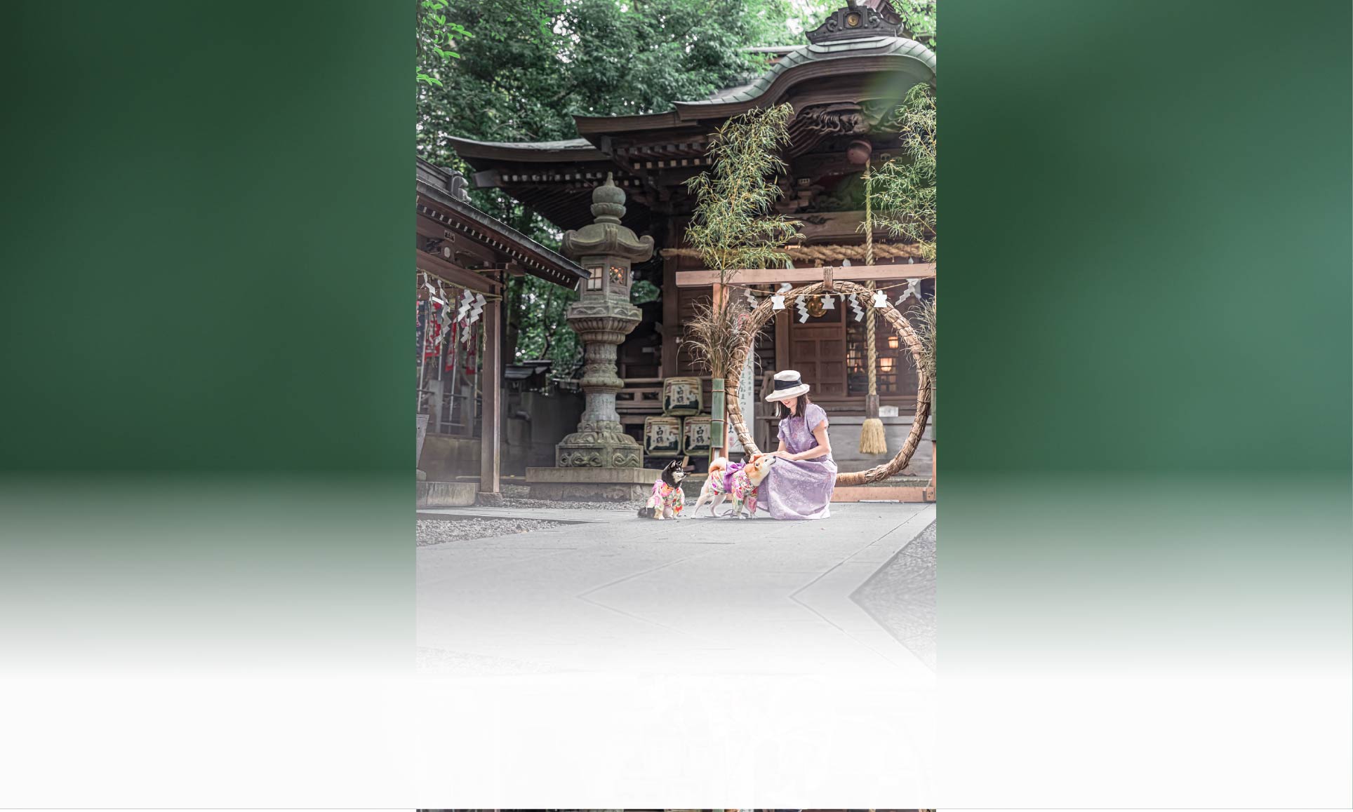 夏の愛犬との旅行 画像 7