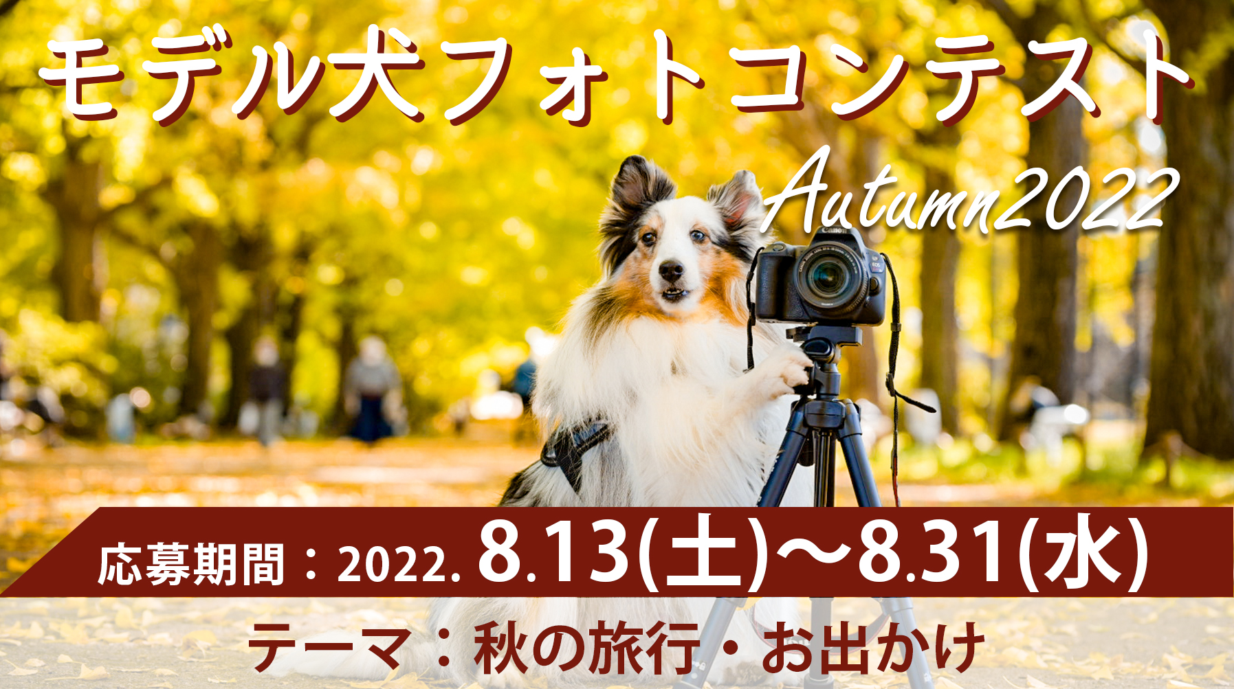 モデル犬コンテスト Autumn2019！