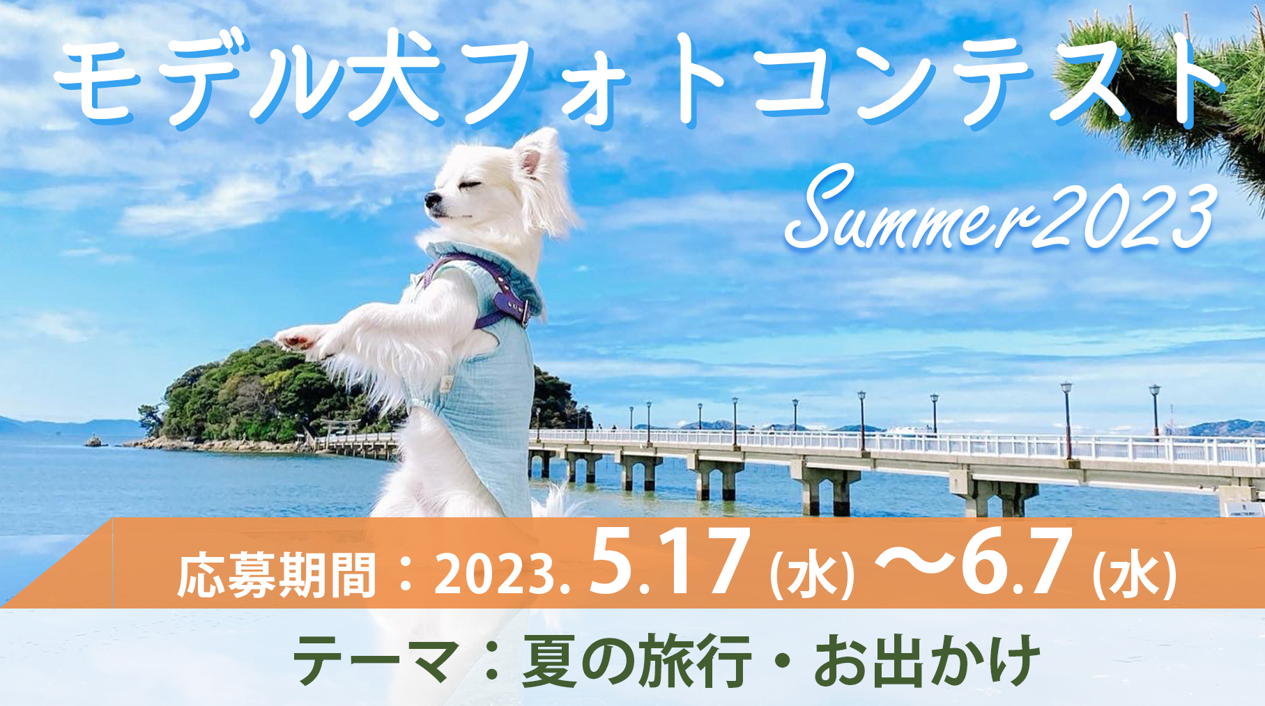 モデル犬コンテスト Summer2023