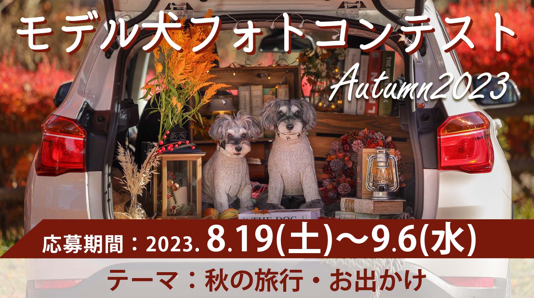 モデル犬コンテスト Autumn2023