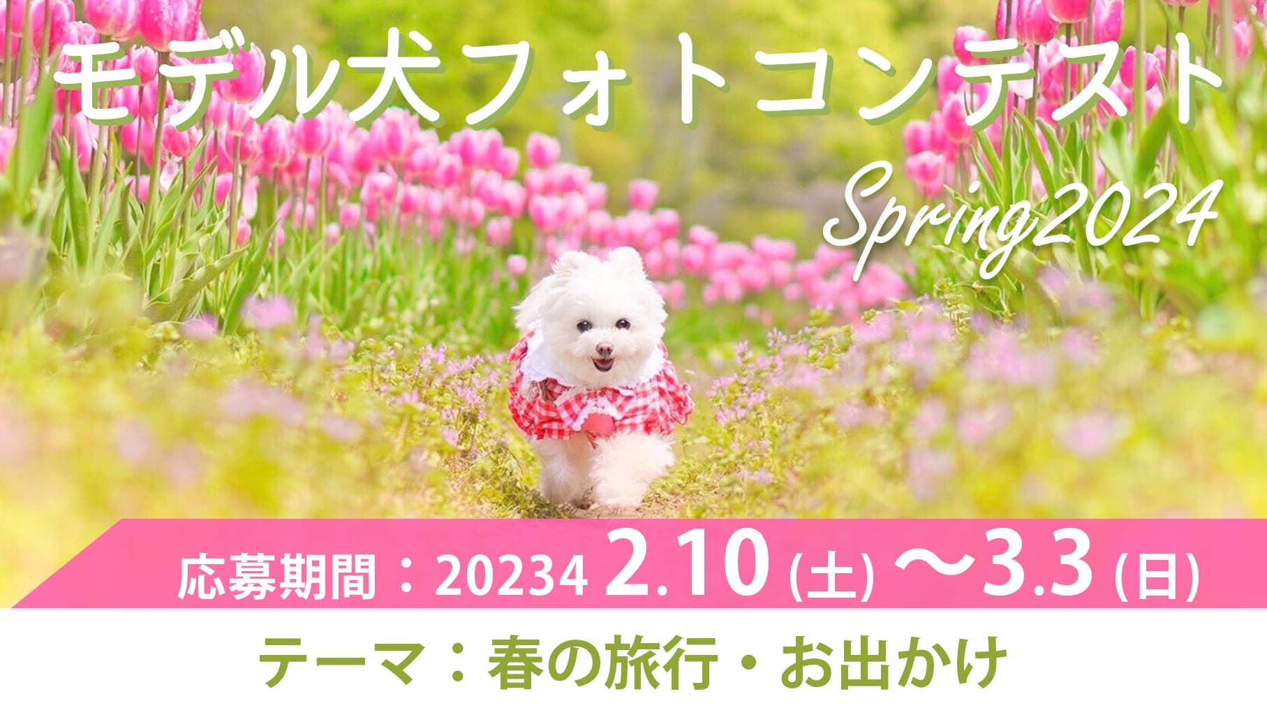 モデル犬コンテスト Spring2024