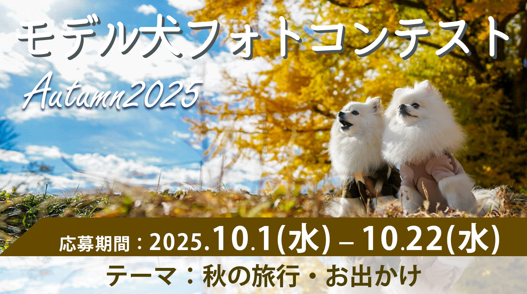 モデル犬コンテスト Autumn2025