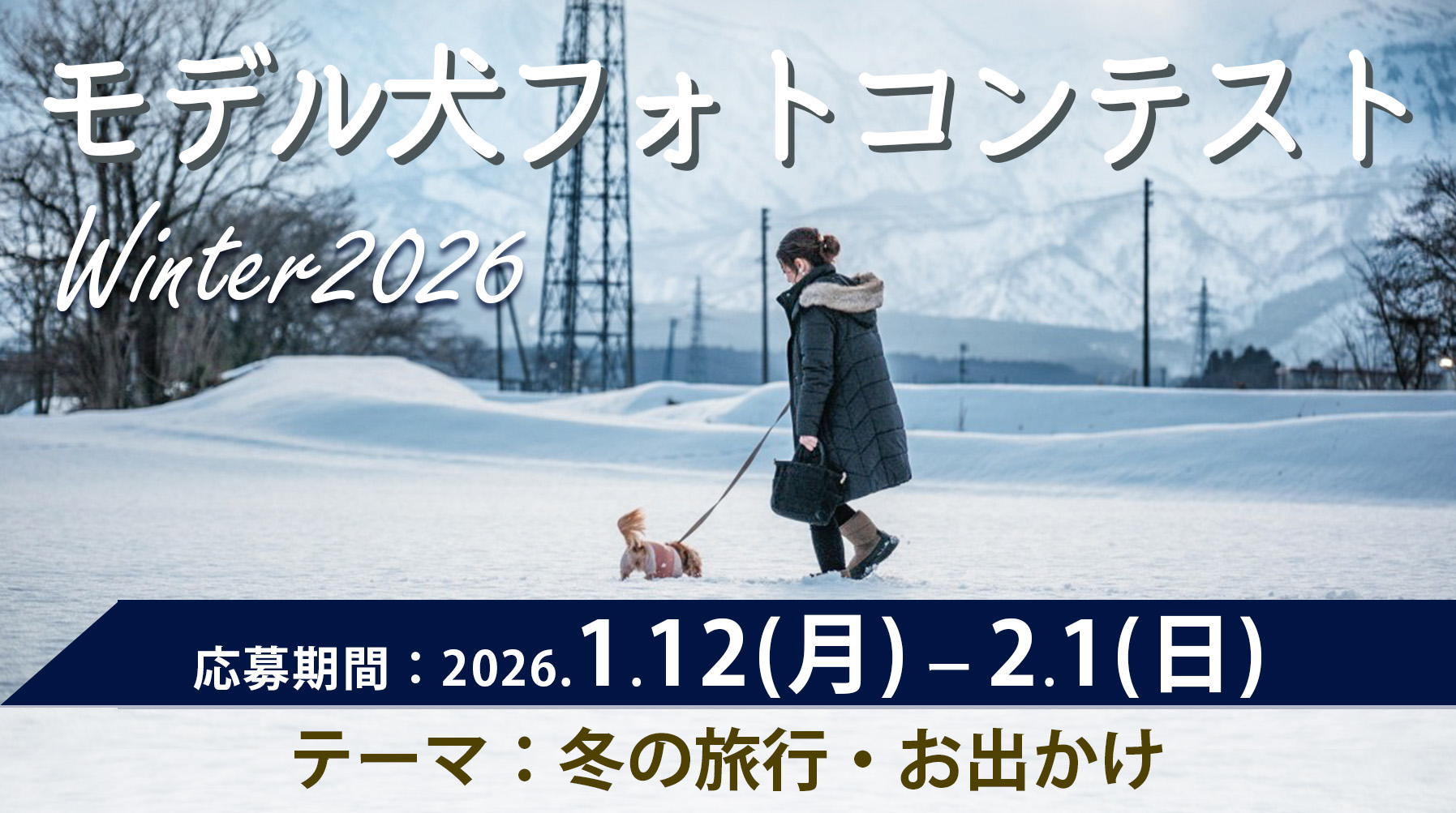 モデル犬コンテスト Winter2026