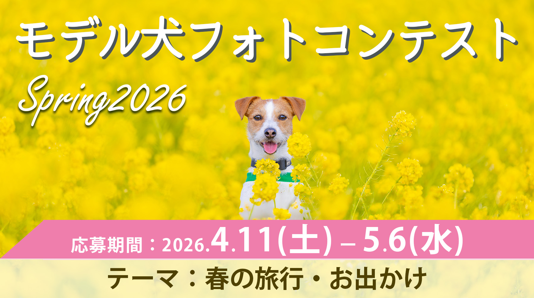 モデル犬コンテスト Spring2026