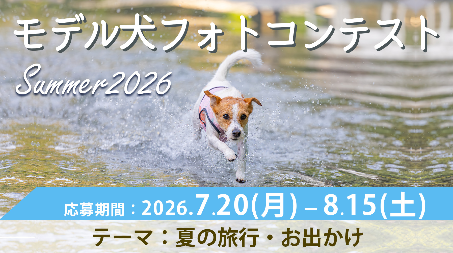 モデル犬コンテスト Summer2026